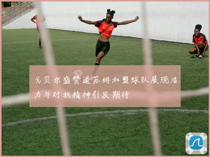 戈贝尔盛赞道苏姆加盟球队展现活力与对抗精神引发期待