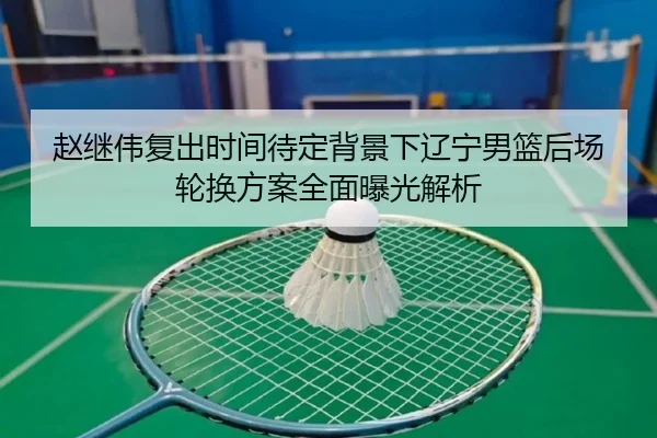 赵继伟复出时间待定背景下辽宁男篮后场轮换方案全面曝光解析